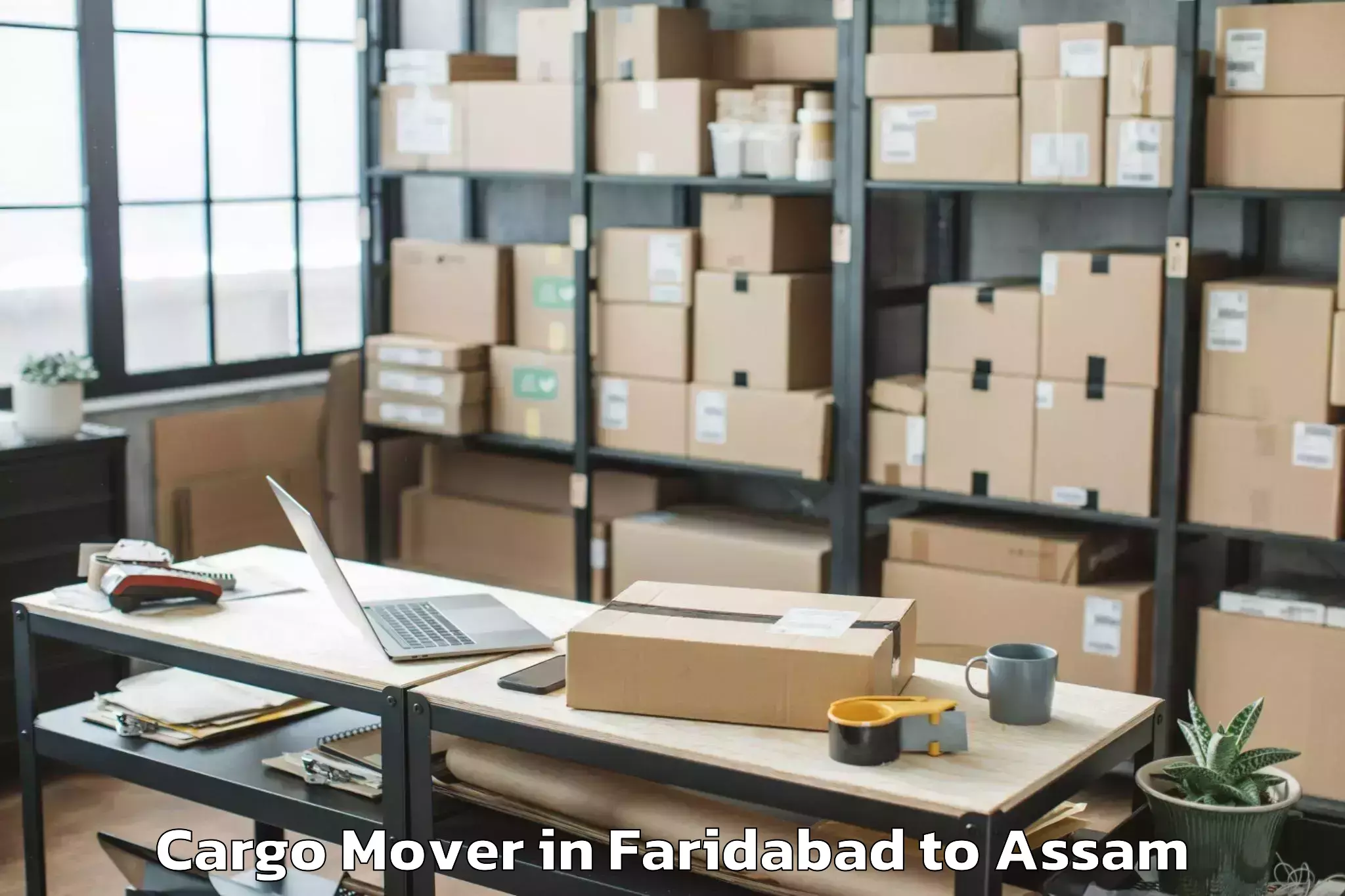 Leading Faridabad to Kaliabor Cargo Mover Provider